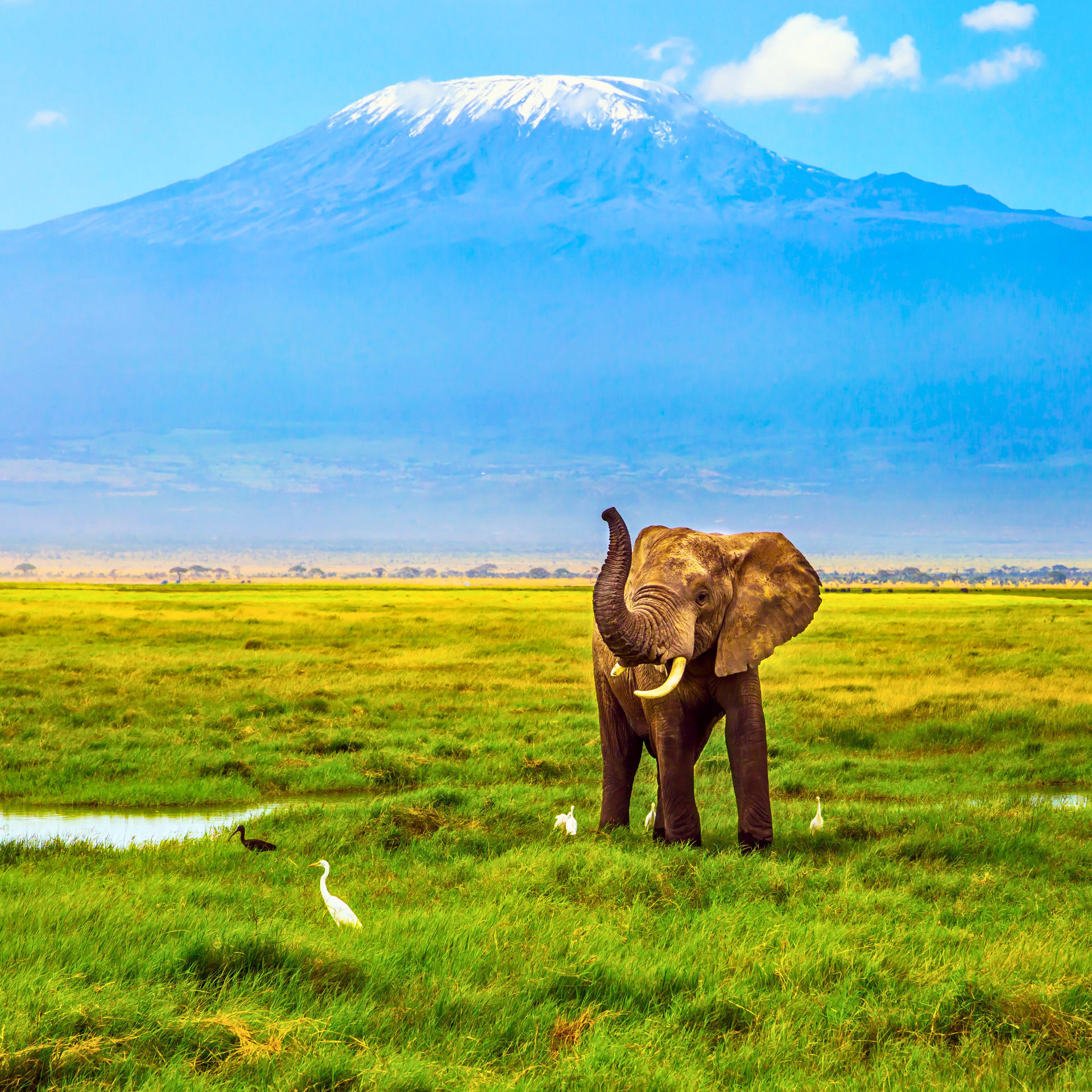 Climb Kilimanjaro